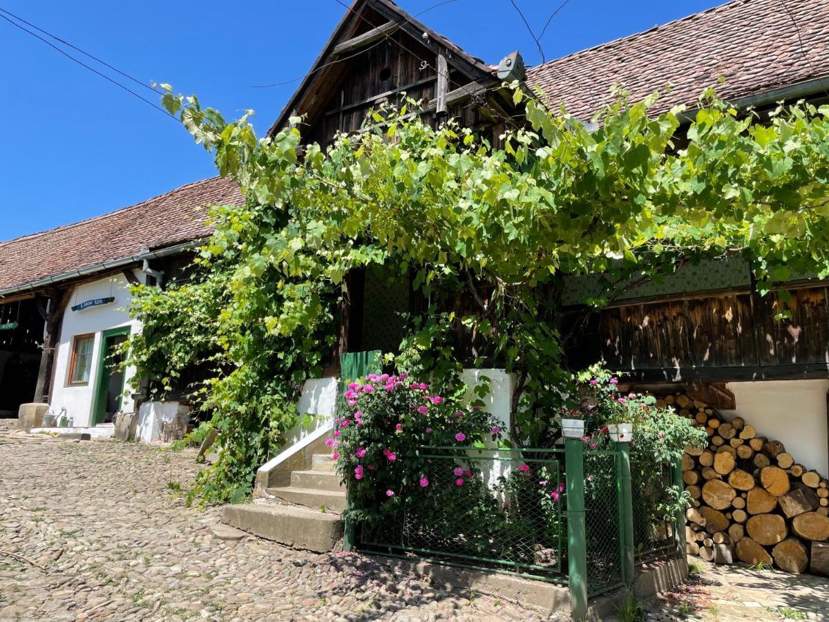 Saschiz 130/Lodging And Glamping Esterno foto