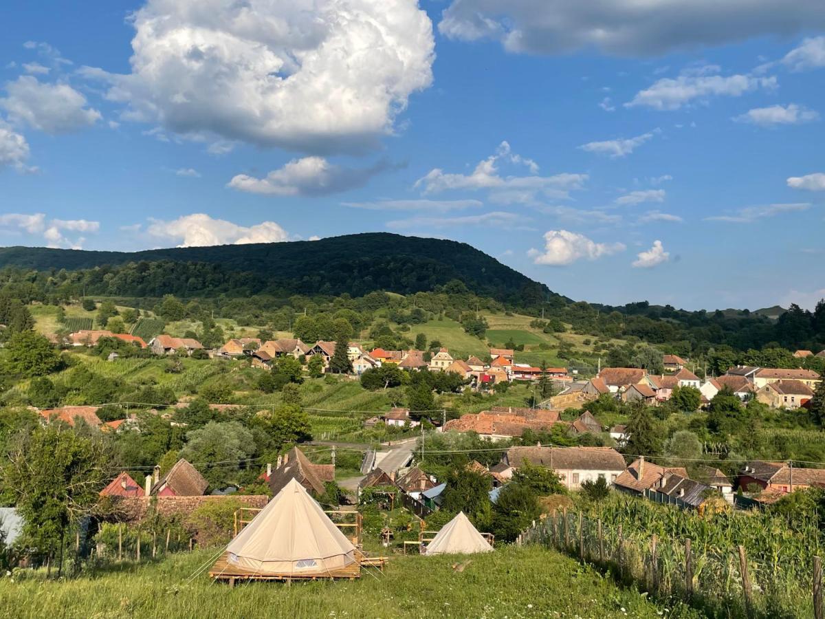 Saschiz 130/Lodging And Glamping Esterno foto
