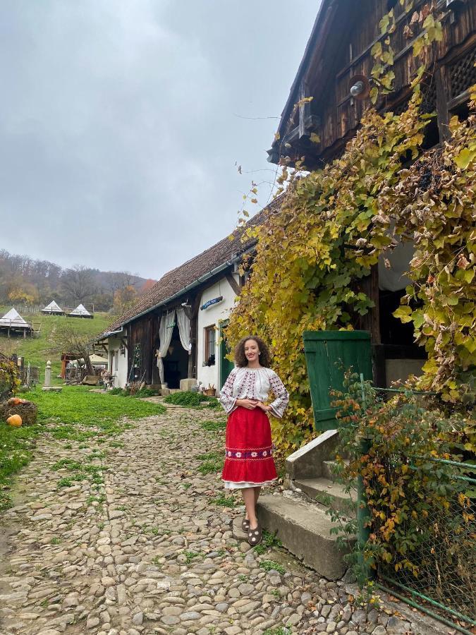 Saschiz 130/Lodging And Glamping Esterno foto