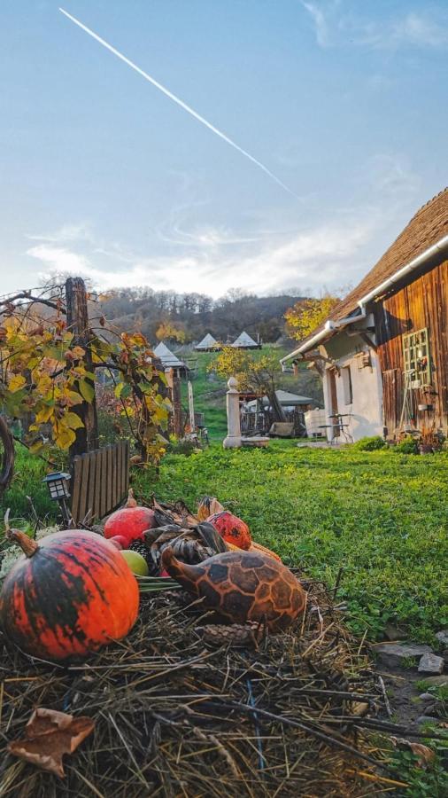 Saschiz 130/Lodging And Glamping Esterno foto