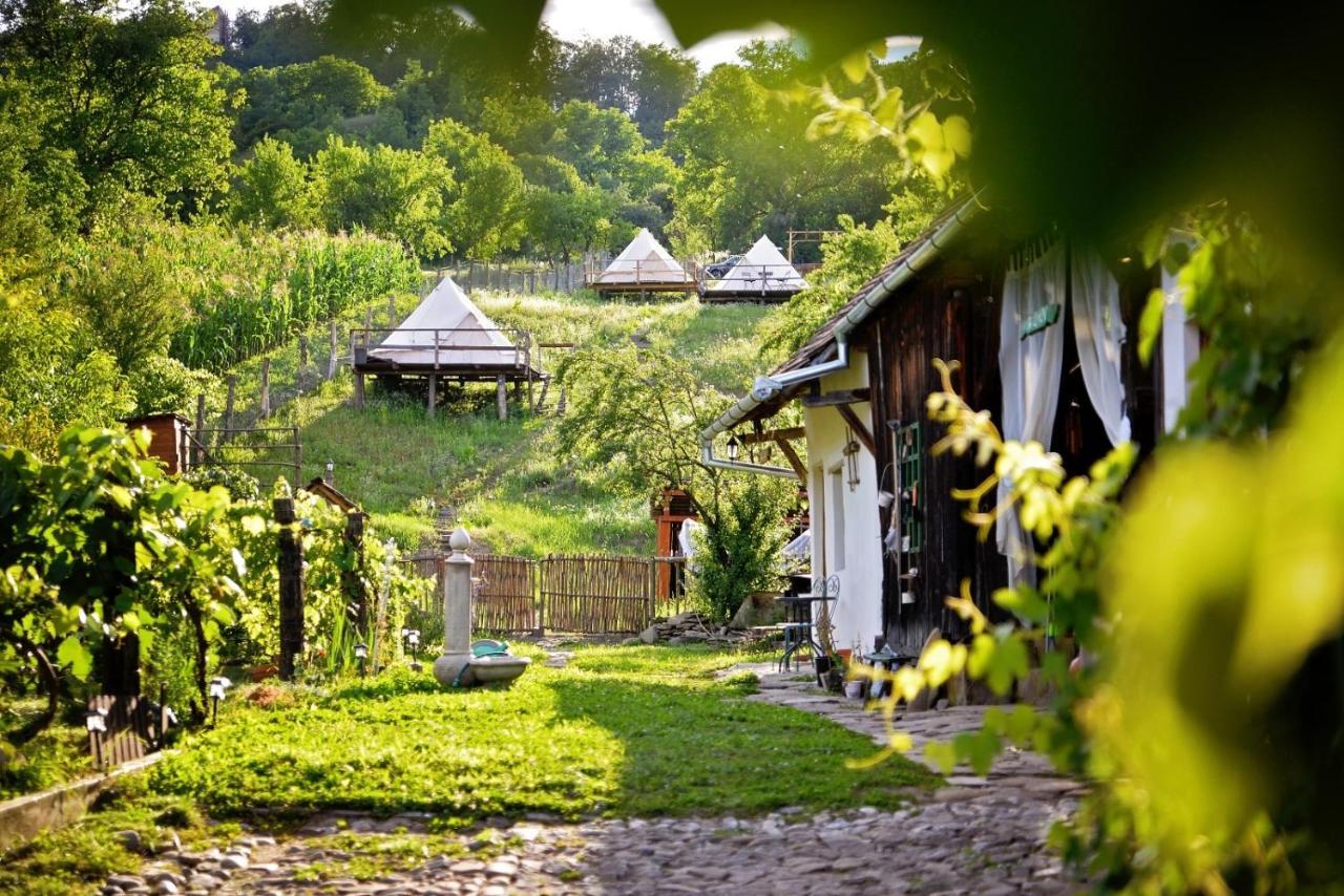 Saschiz 130/Lodging And Glamping Esterno foto
